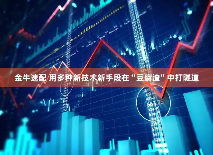 金牛速配 用多种新技术新手段在“豆腐渣”中打隧道