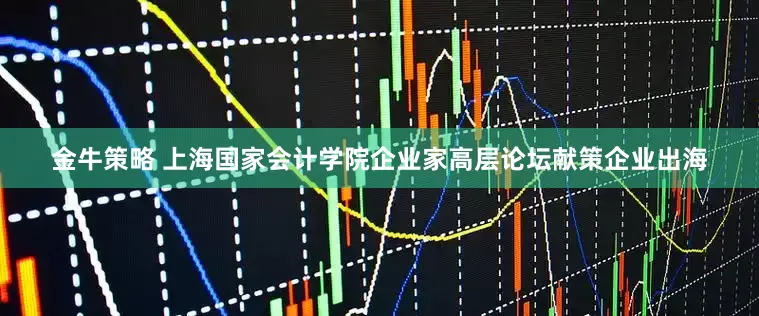 金牛策略 上海国家会计学院企业家高层论坛献策企业出海