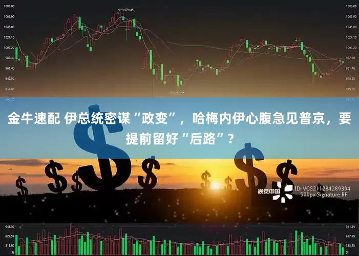 金牛速配 伊总统密谋“政变”，哈梅内伊心腹急见普京，要提前留好“后路”？