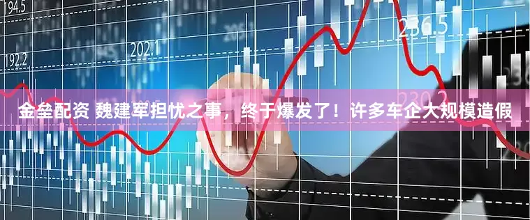 金垒配资 魏建军担忧之事，终于爆发了！许多车企大规模造假