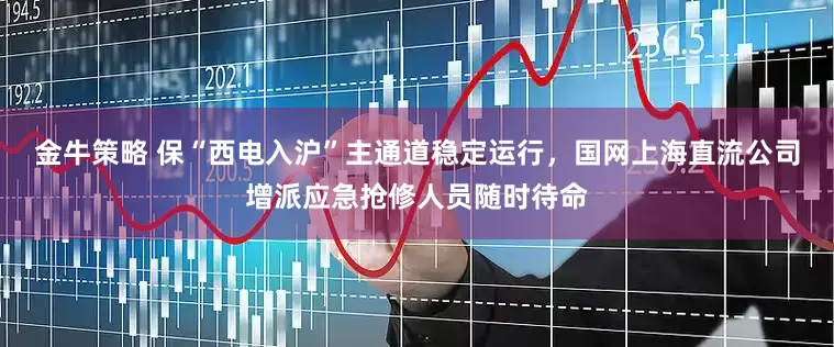 金牛策略 保“西电入沪”主通道稳定运行，国网上海直流公司增派应急抢修人员随时待命