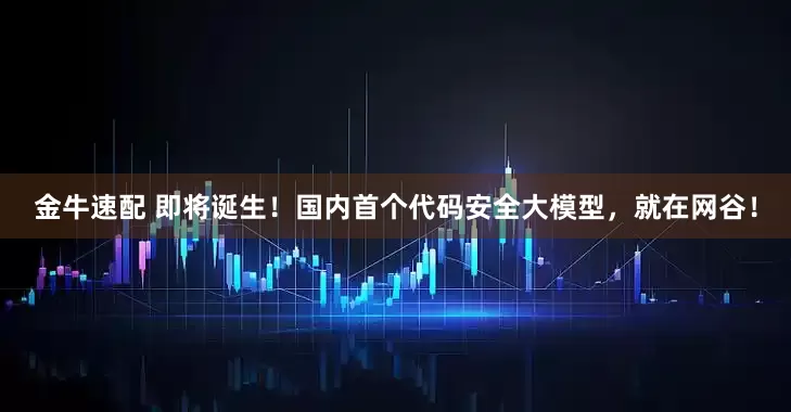金牛速配 即将诞生！国内首个代码安全大模型，就在网谷！