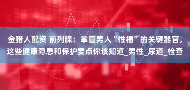 金猎人配资 前列腺:掌管男人“性福”的关键器官,这些健康隐患和保护要点你该知道_男性_尿道_检查