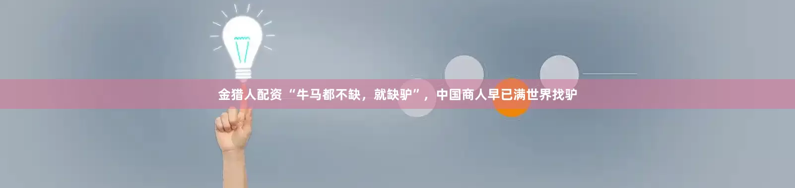 金猎人配资 “牛马都不缺，就缺驴”，中国商人早已满世界找驴