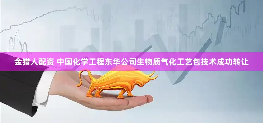 金猎人配资 中国化学工程东华公司生物质气化工艺包技术成功转让